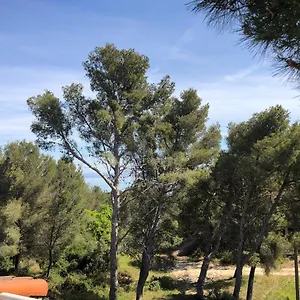  Appartement T3 Avec Grande Terrasse Et Jardin Sur Les Hauteurs De
